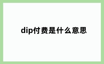 dip付费是什么意思