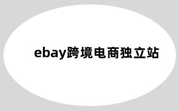 ebay跨境电商独立站