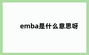 emba是什么意思呀