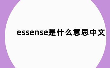 essense是什么意思中文