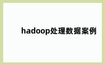 hadoop处理数据案例