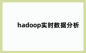 hadoop实时数据分析