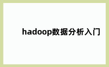 hadoop数据分析入门