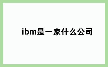 ibm是一家什么公司