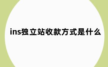 ins独立站收款方式是什么