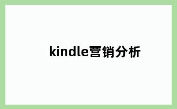 kindle营销分析