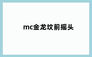 mc金龙坟前摇头