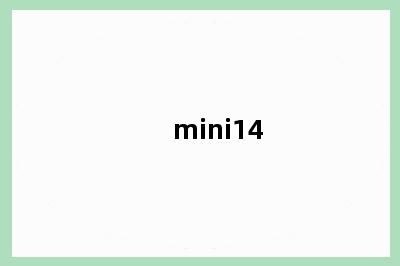 mini14
