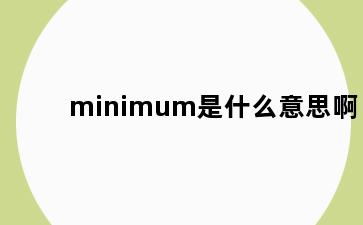 minimum是什么意思啊