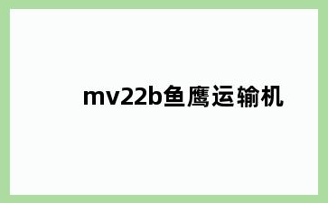 mv22b鱼鹰运输机