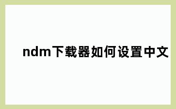 ndm下载器如何设置中文