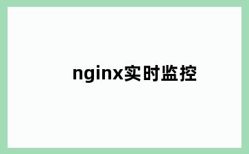 nginx实时监控