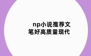 np小说推荐文笔好高质量现代