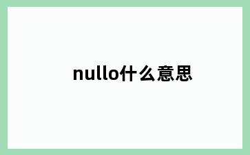 nullo什么意思