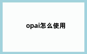 opai怎么使用