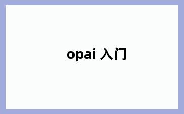 opai 入门