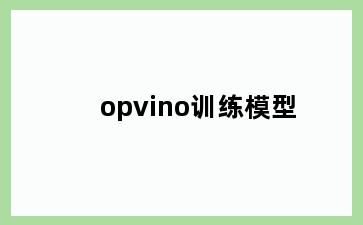 opvino训练模型