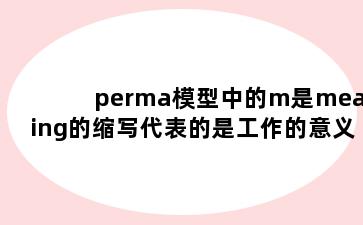 perma模型中的m是meaning的缩写代表的是工作的意义