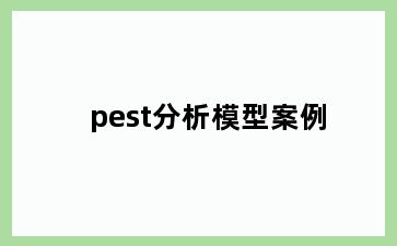 pest分析模型案例