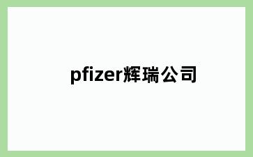 pfizer辉瑞公司