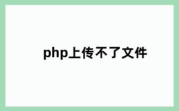 php上传不了文件