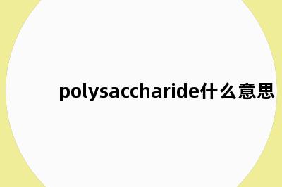 polysaccharide什么意思