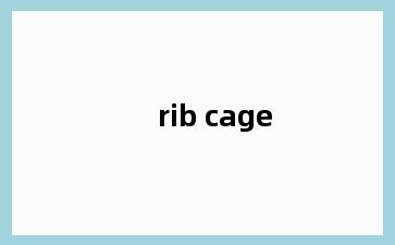 rib cage