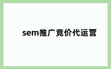 sem推广竞价代运营