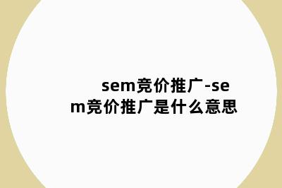 sem竞价推广-sem竞价推广是什么意思