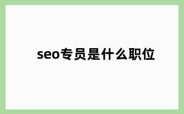 seo专员是什么职位