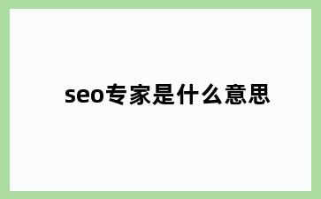 seo专家是什么意思