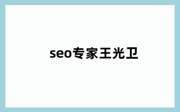 seo专家王光卫