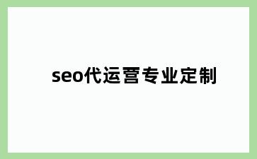 seo代运营专业定制