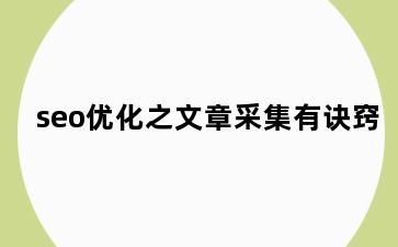 seo优化之文章采集有诀窍