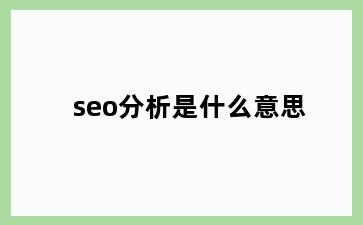 seo分析是什么意思