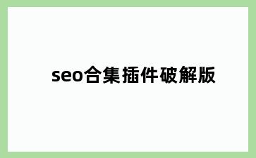 seo合集插件破解版