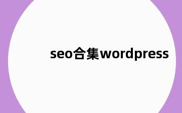 seo合集wordpress