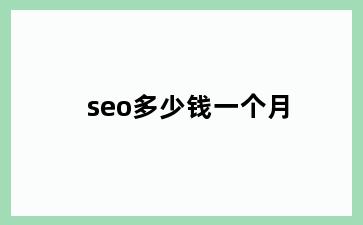 seo多少钱一个月