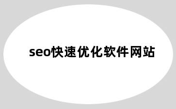 seo快速优化软件网站