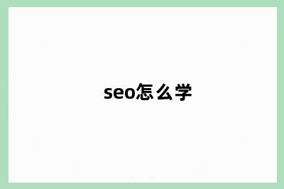 seo怎么学