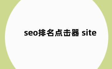 seo排名点击器 site