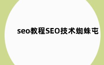 seo教程SEO技术蜘蛛屯