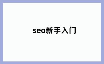 seo新手入门