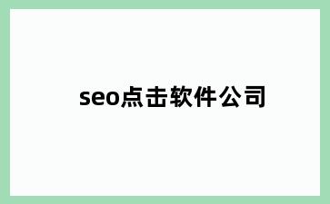 seo点击软件公司