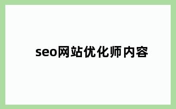 seo网站优化师内容