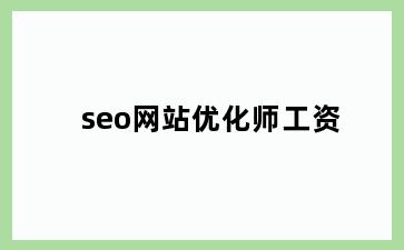 seo网站优化师工资