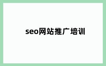 seo网站推广培训