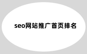 seo网站推广首页排名