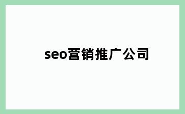 seo营销推广公司