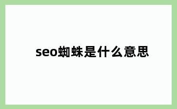 seo蜘蛛是什么意思